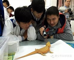 科学微电影在宝星职校生根发芽