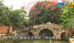 石拱桥——顺德逢简水乡的灵魂