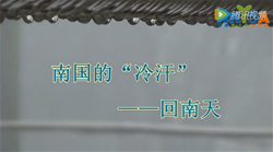 南国的“冷汗”——回南天