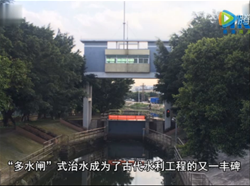 水乡的保护伞——多水闸体系