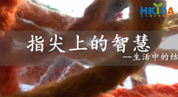 指尖上的智慧——生活中的结