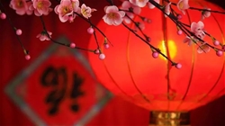 如何度过迷茫期？｜新年开门红！“院士成长”沙龙系列（四）