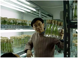 青少年心中最棒的科学家叔叔：储成才团队在水稻研究方面取得重大突破！