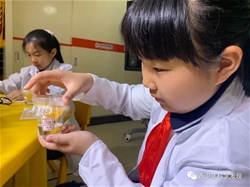 蛋壳里的自然魔法——探究小鸡孵化 | 第五届中小学生科学微电影赏析活动